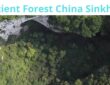 Ancient Forest China Sinkhole