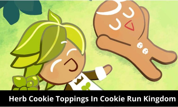 Herb Cookie Toppings In Cookie Run Kingdom