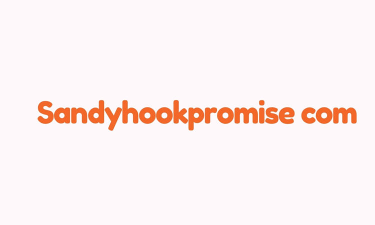 Sandyhookpromise com {