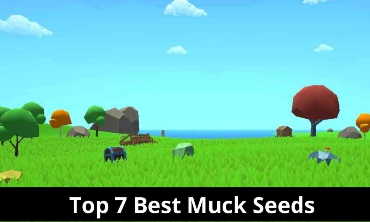 Top 7 Best Muck Seeds