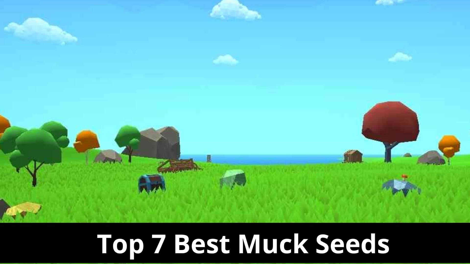 Top 7 Best Muck Seeds {May 2022} Get The Details!