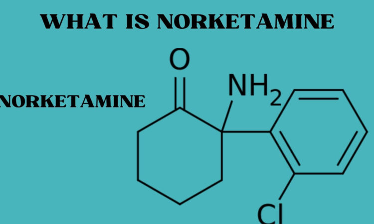 What Is Norketamine