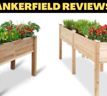 Ankerfield Reviews