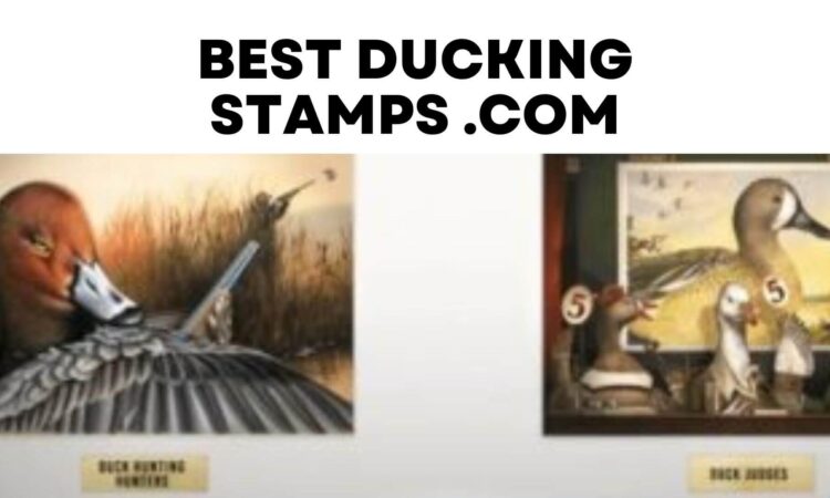 Best Ducking Stamps .com