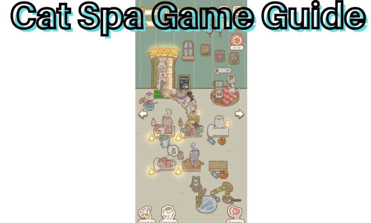 Cat Spa Game Guide