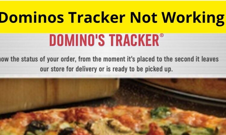 Dominos Tracker Not Working