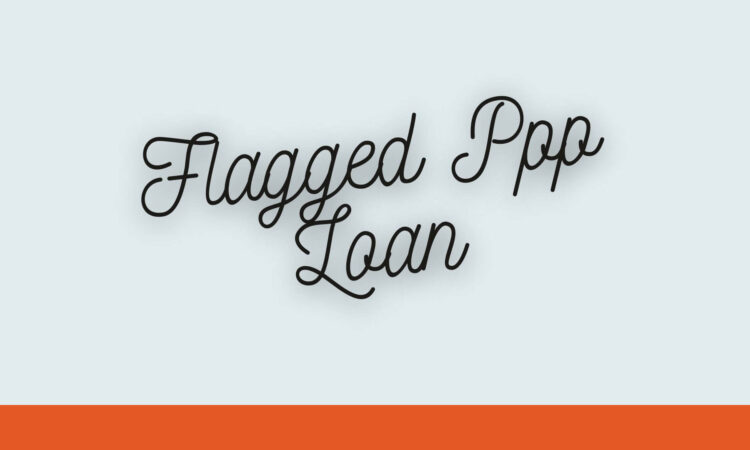 Flagged Ppp Loans