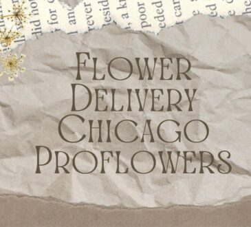 Flower Delivery Chicago Proflowers