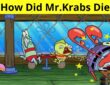 How Did Mr.Krabs Die