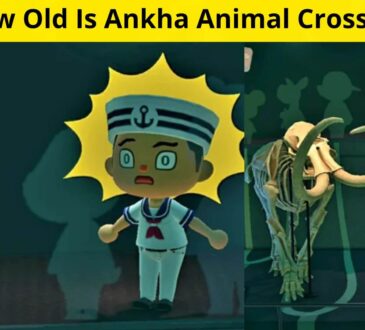 How Old Is Ankha Animal Crossing