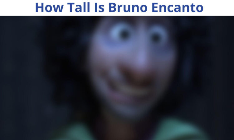How Tall Is Bruno Encanto