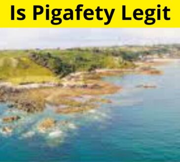 Is Pigafety Legit