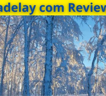 Ladelay com Reviews
