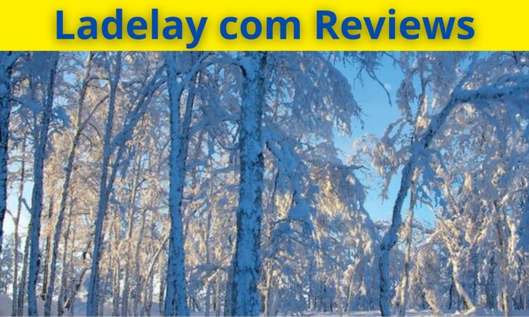 Ladelay com Reviews
