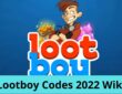 Lootboy Codes 2022 Wiki