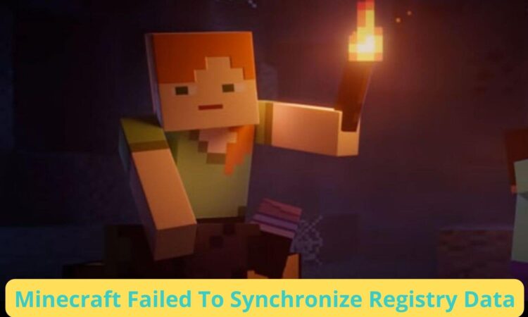 Minecraft Failed To Synchronize Registry Data