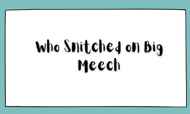 Who Snitched on Big Meech