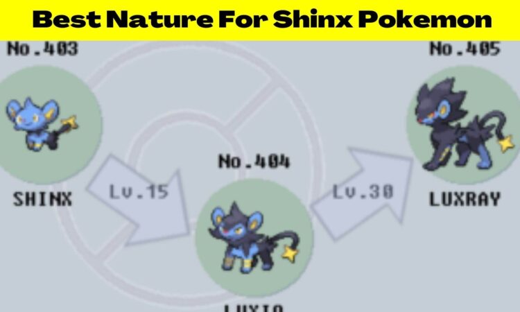 Best Nature For Shinx Pokemon
