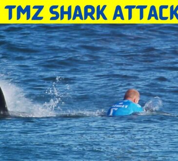 Tmz Shark Attack