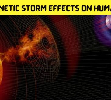 NEWS Geomagnetic Storm Effects on Humans 2022
