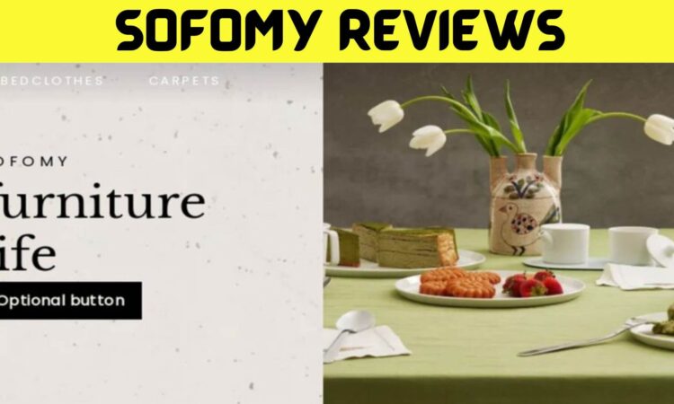 Sofomy Reviews