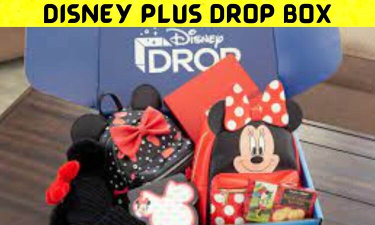 Disney Plus Drop Box