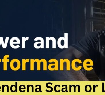 Is Fendena Scam or Legit