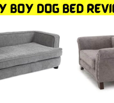 Lazy Boy Dog Bed Reviews