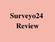 Surveyo24 Review