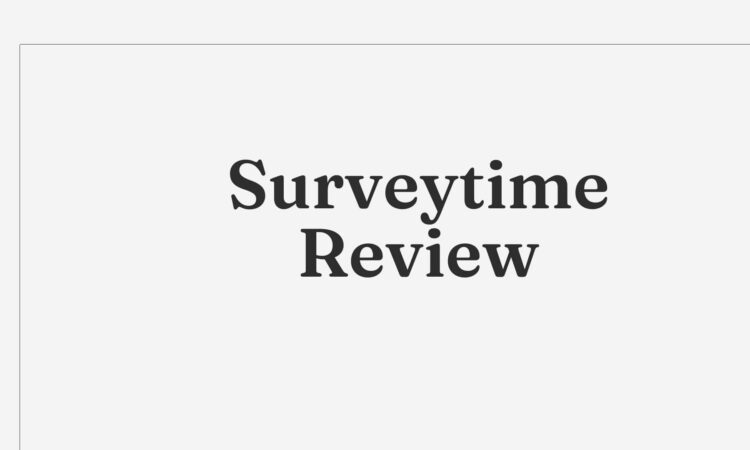 Surveytime Review