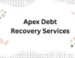Apex Debt Recovery Services